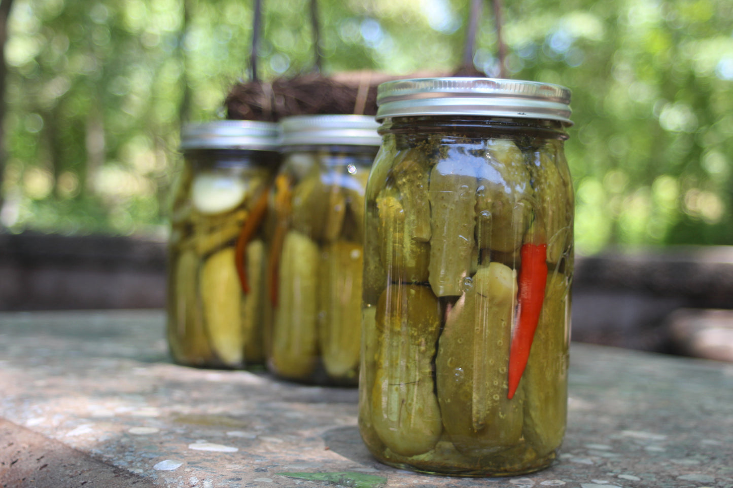 Salty dill pickles