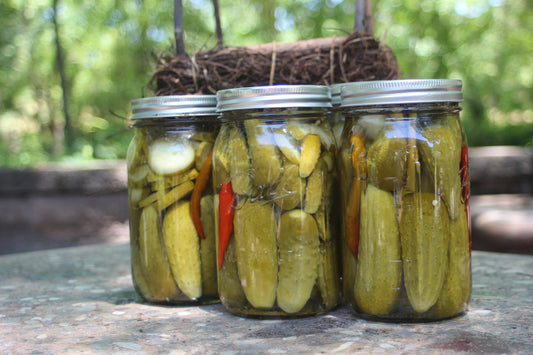 Salty dill pickles