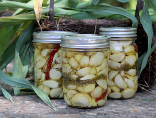 Pickled Garlic